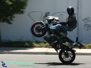 CBR954RR - Highchair Wheelie: Smile for the camera. Nice highchair wheelie by this CBR954RR stunt rider.